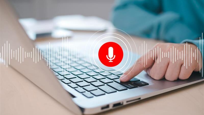 Why website is not showing in voice search