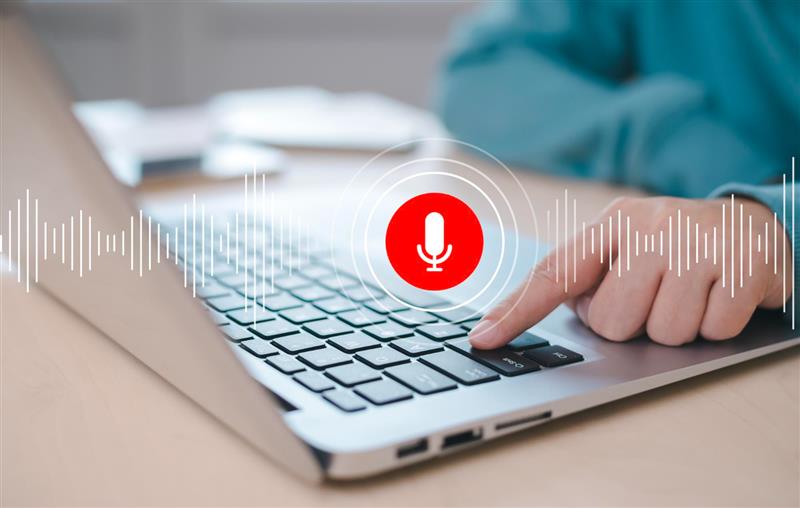 Why website is not showing in voice search